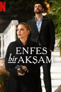 Турецкий сериал Восхитительный вечер (2025)