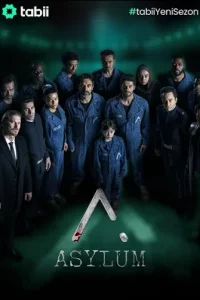 Турецкий сериал Убежище (2026)