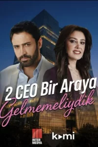 Турецкий сериал Нам не следовало встречаться (2026)